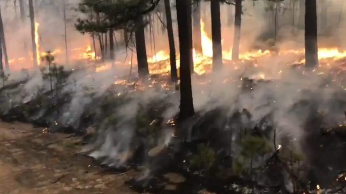 incendio forestal